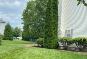 Landscaping & lawn Maintenance in Lehigh Valley