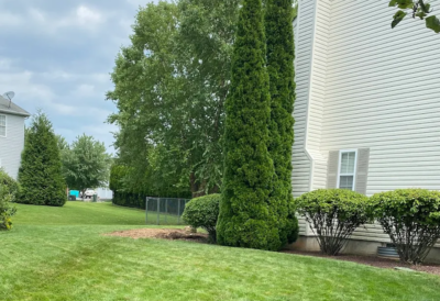 Landscaping & lawn Maintenance in Lehigh Valley